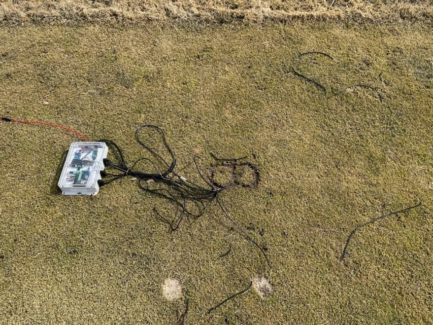 Turfgrass with a sensor and electrical cords