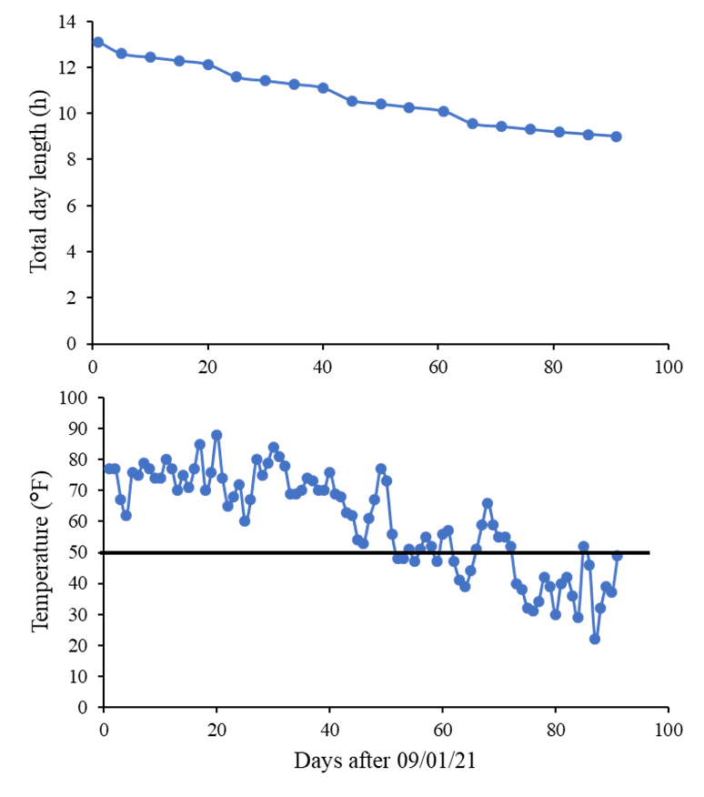 Two line graphs showing the variation of day length and Temperature with the number of days after 09/01/21