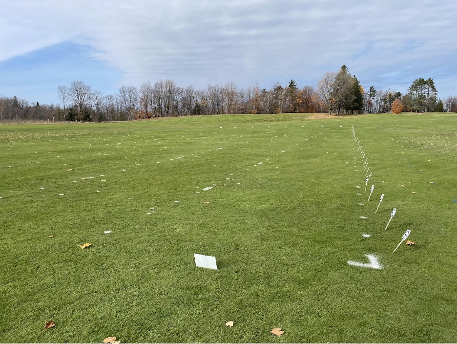 Alternative snow mold control products were applied alongside standard chemical fungicides in Marquette, MI 