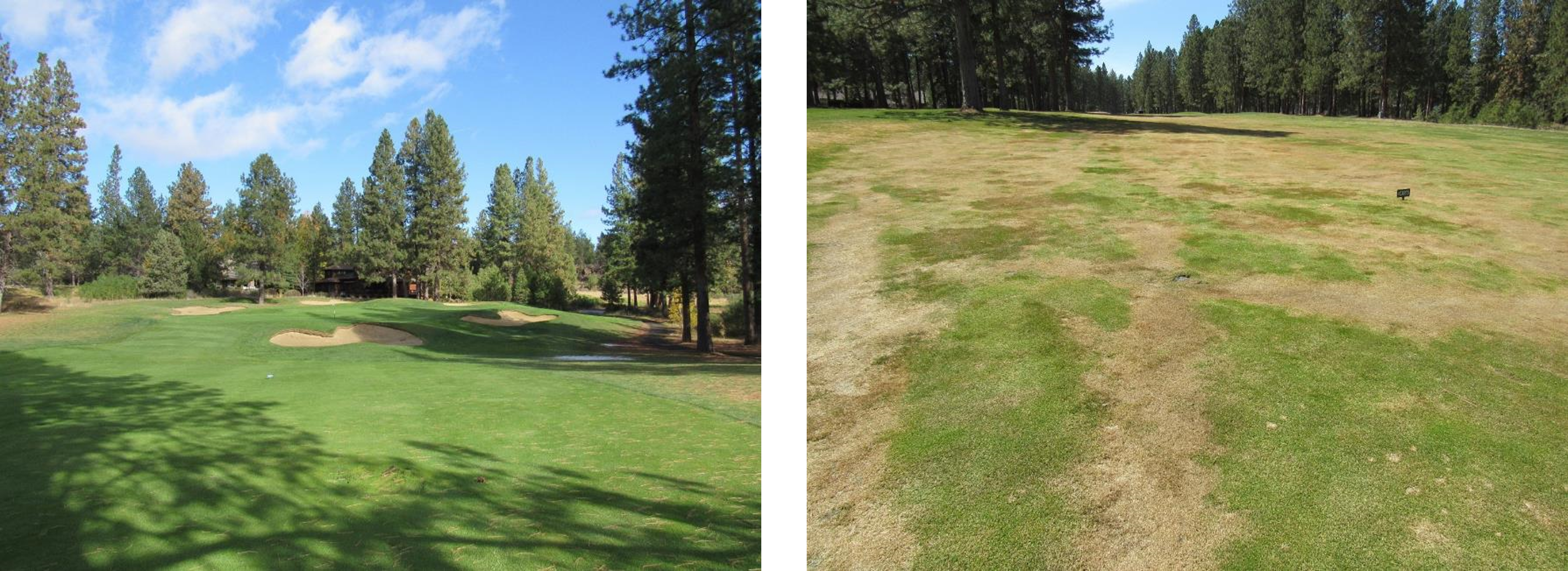 a before winter and after winter comparison of a golf course hole