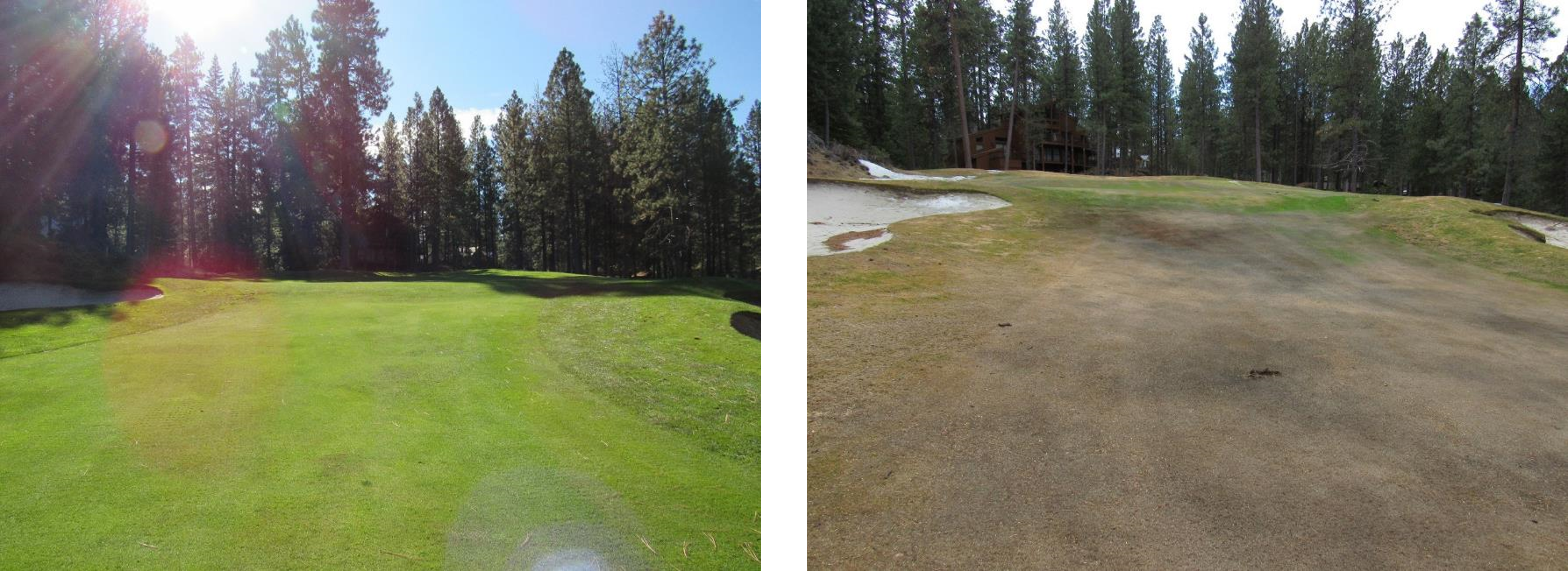 a before winter and after winter comparison of a golf course hole