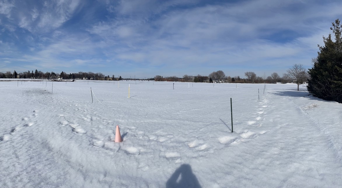 snow-covered research plots with metal stakes 