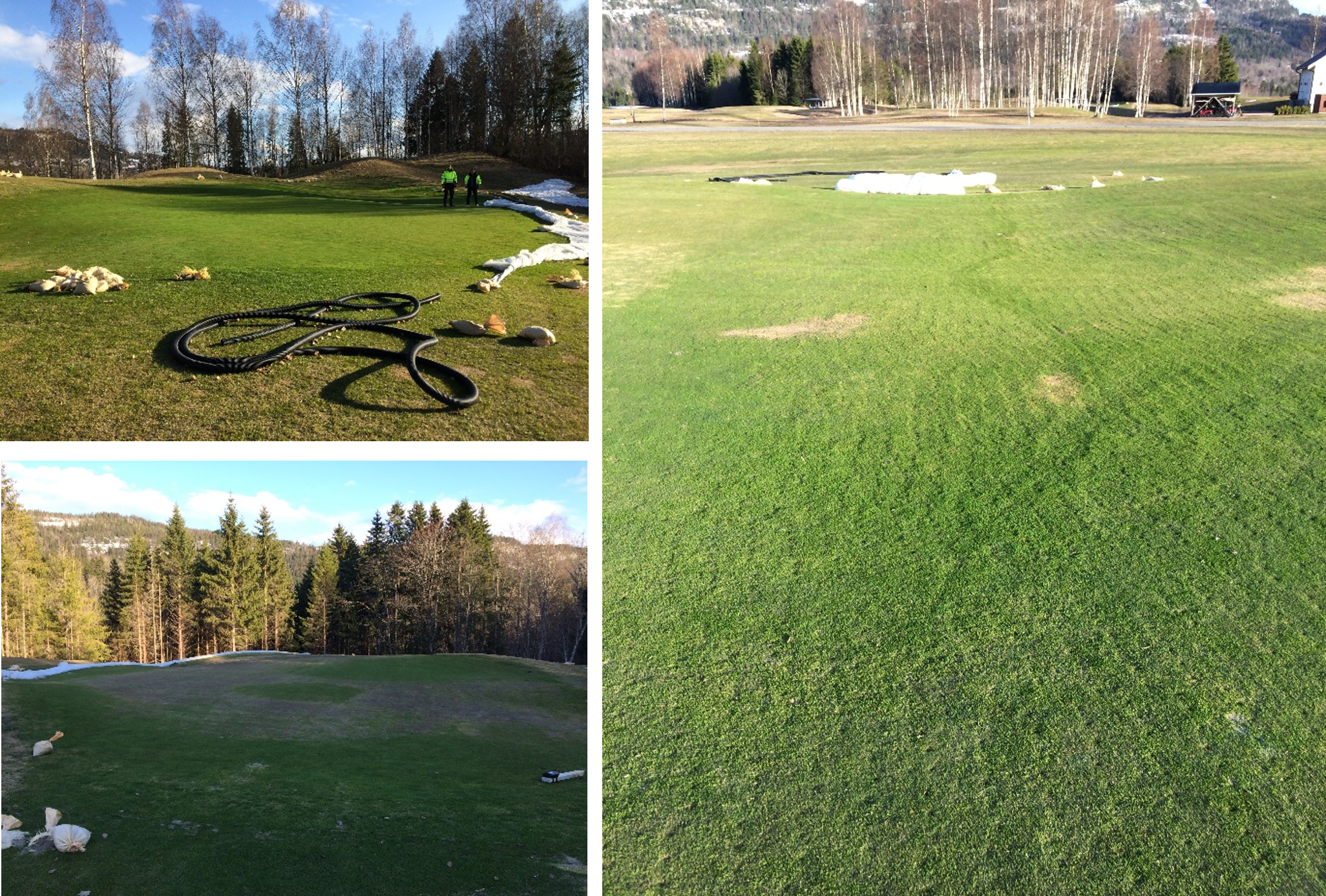 three golf course greens with varying amounts of damage