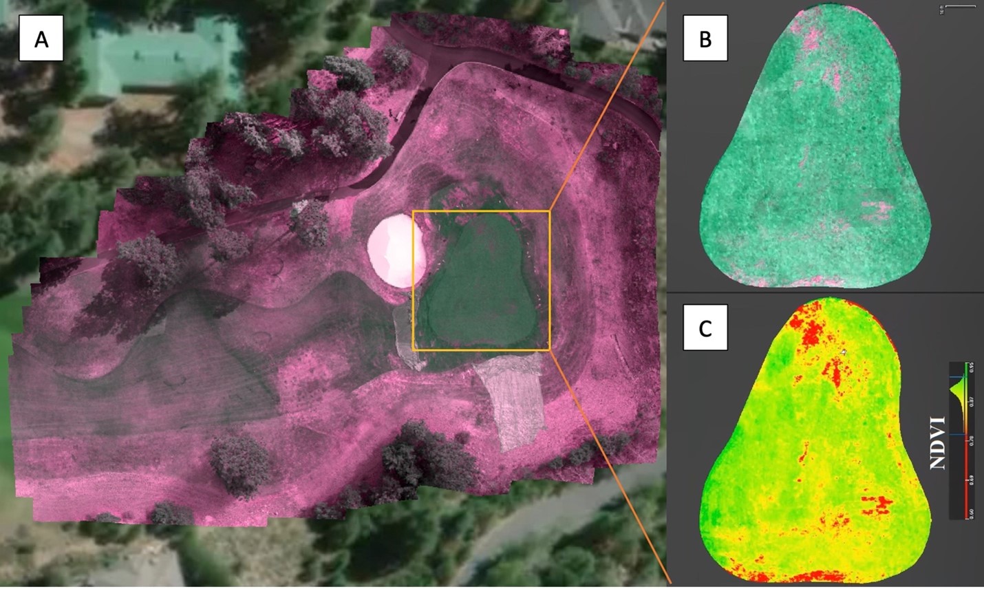 drone image of a golf course green shown under different types of analysis