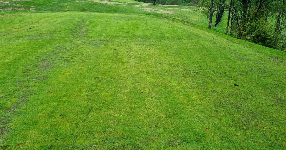 two areas of turfgrass, one that is greener than the other