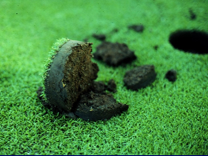 a putting green with a partially broken soil core