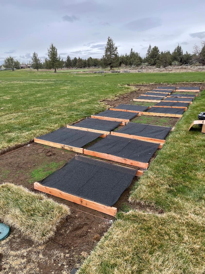 turfgrass field research plots with black shade cloths on wood frames.