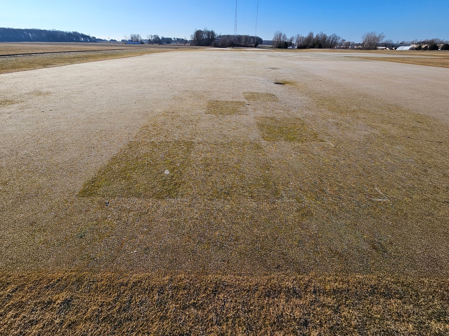 Turfgrass research plots with varying levels of frost.