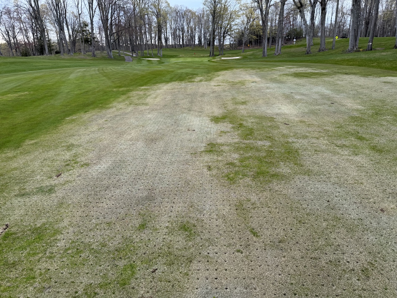 Winterkill damage on an annual bluegrass fairway, surrounded by undamaged turf.